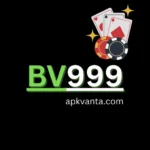 BV999 GAME