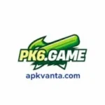 PK6 Game