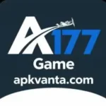 A177 Game