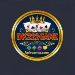DK222 Game
