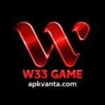 W33 Game