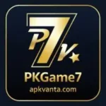 PKGame7