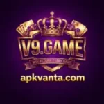 V9 Game