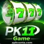 PK11 Game